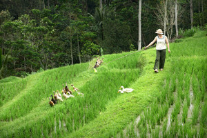 bali-cooking-class-03