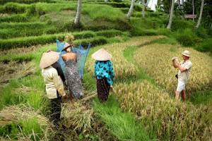 bali-cooking-class-05